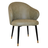Bright Side Furniture Scranton Upholstered Dining Chairs with Brass Accent