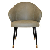 Bright Side Furniture Scranton Upholstered Dining Chairs with Brass Accent