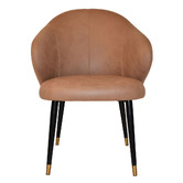 Bright Side Furniture Scranton Upholstered Dining Chairs with Brass Accent