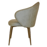 Bright Side Furniture Scranton Upholstered Dining Chairs with Brass Legs