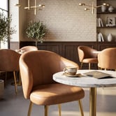 Bright Side Furniture Scranton Upholstered Dining Chairs with Brass Legs