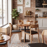 Bright Side Furniture Finnian Ash Wood Dining Chairs