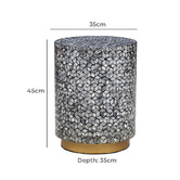 The Decor Store Ochoa Capiz Shell Side Table