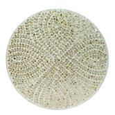 The Decor Store Corinne Mother of Pearl Coffee Table