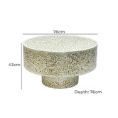 The Decor Store Corinne Mother of Pearl Coffee Table