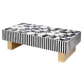 The Decor Store Oswego Mother of Pearl Coffee Table