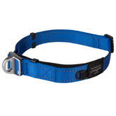 Rogz Blue Safety Collar
