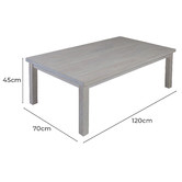 Rita Home Whitewash Paddington Coffee Table