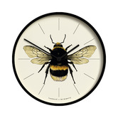 Newgate Newgate Number Three Londonetti X Bee Wall Clock