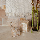 Campana Collective Wiley Decorative Box