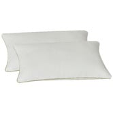 Accessorize Bamboo-Blend Standard Pillow Protectors
