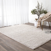 Lifestyle Floors Beige Elara Shag Area Rug