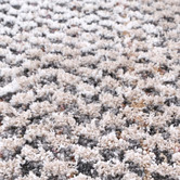 Lifestyle Floors Grey Vita Gambit Power-Loomed Rug