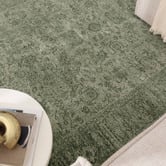 Lifestyle Floors Green Caitlin Distressed Rug