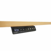 Executive Equipment Natural Rhode Sit &amp; Stand Desk
