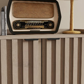 Corner Office Chaplin 2 Door Shoe Cabinet