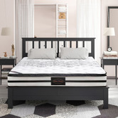 Southern Stylers Lafayette Euro Top Pocket Spring Mattress