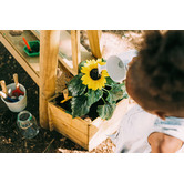 Plum Discovery Paint &amp; Create Easel