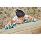 Plum Plum Lookout Tower with Monkey Bars
