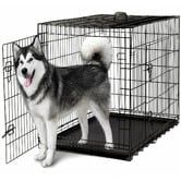 Bono Fido Dog Collapsible Crate ABS Tray in Black Vein