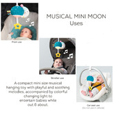 Taf Toys Taf Toys Musical Mini Moon