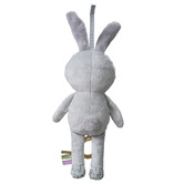 Taf Toys Taf Toys Rylee Musical Bunny