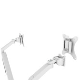 Office Fleet Cordova Double Monitor Arm