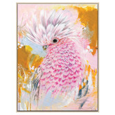 Our Artists' Collection Charlie The Galah Printed Wall Art