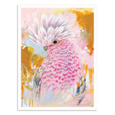 Our Artists' Collection Charlie The Galah Printed Wall Art