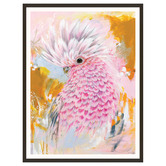 Our Artists' Collection Charlie The Galah Printed Wall Art