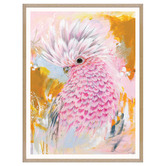 Our Artists' Collection Charlie The Galah Printed Wall Art