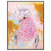 Our Artists' Collection Charlie The Galah Printed Wall Art