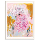 Our Artists' Collection Charlie The Galah Printed Wall Art