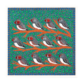 Our Artists' Collection Zebra Finches Printed Wall Art