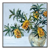Our Artists' Collection Banksia in a Pot Printed Wall Art