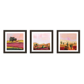 Our Artists' Collection 3 Piece Desert Dreams Framed Paper Print Wall Art Set
