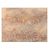 Our Artists' Collection Seed Pods and Wildflowers Canvas Wall Art