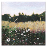 Our Artists' Collection Soft Glow Canvas Wall Art