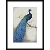 Spyglass Gallery Peacock Blue I Framed Print