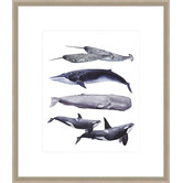 Spyglass Gallery Whale Stack II Framed Print