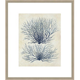 Spyglass Gallery Indigo Blue Seaweed 1a Framed Print