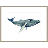 Spyglass Gallery The Whale's Song II Framed Print