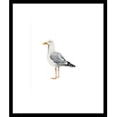 Spyglass Gallery Sea Bird II Framed Print