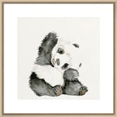 Spyglass Gallery Baby Panda I Framed Print