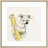 Spyglass Gallery Baby Koala II Framed Print