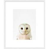 Spyglass Gallery Owl Framed Print