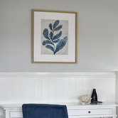 Spyglass Gallery Indigo Blue Seaweed 2a Framed Print