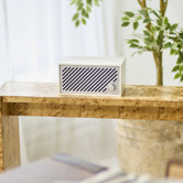 Tivoli Audio Tivoli Audio Model 2 Digital Bluetooth Speaker