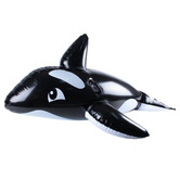 Splash Time Franklin Inflatable Ride-On Pool Float