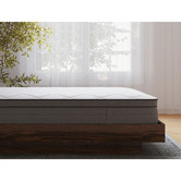 Rawson &amp; Co Thomas Pocket Spring Mattress
